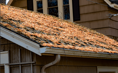 Top Benefits of Gutter Cleaning