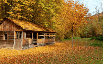 Roof Maintenance in the Fall Season