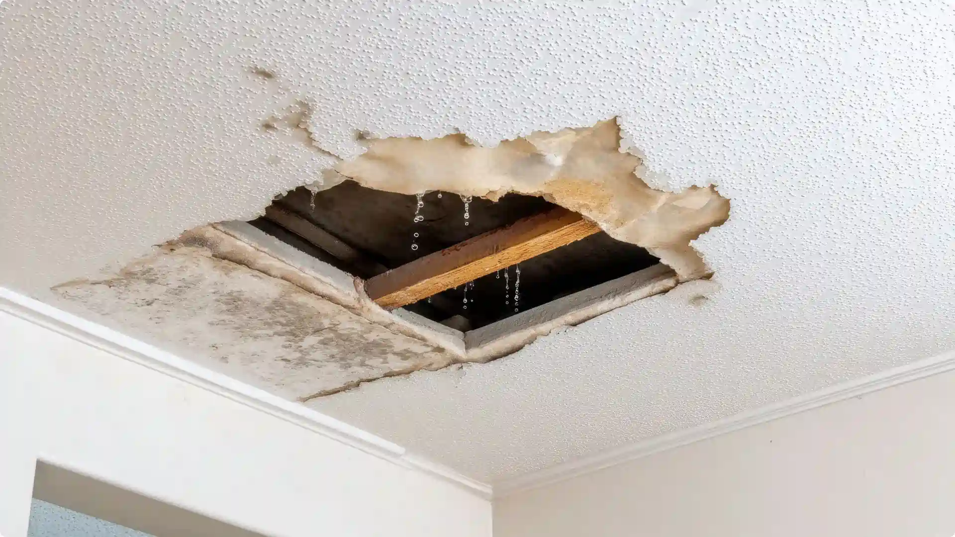 Steps to Take if You Have a Roof Leak