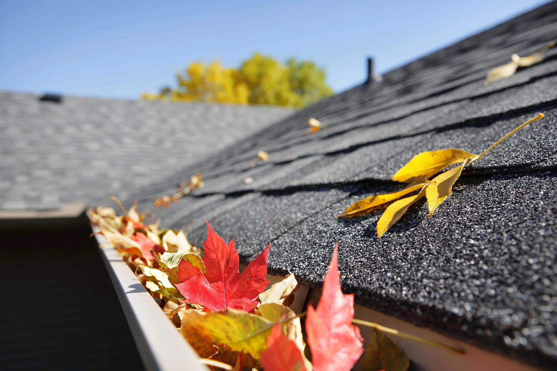 Is Your Roof Ready For Fall?