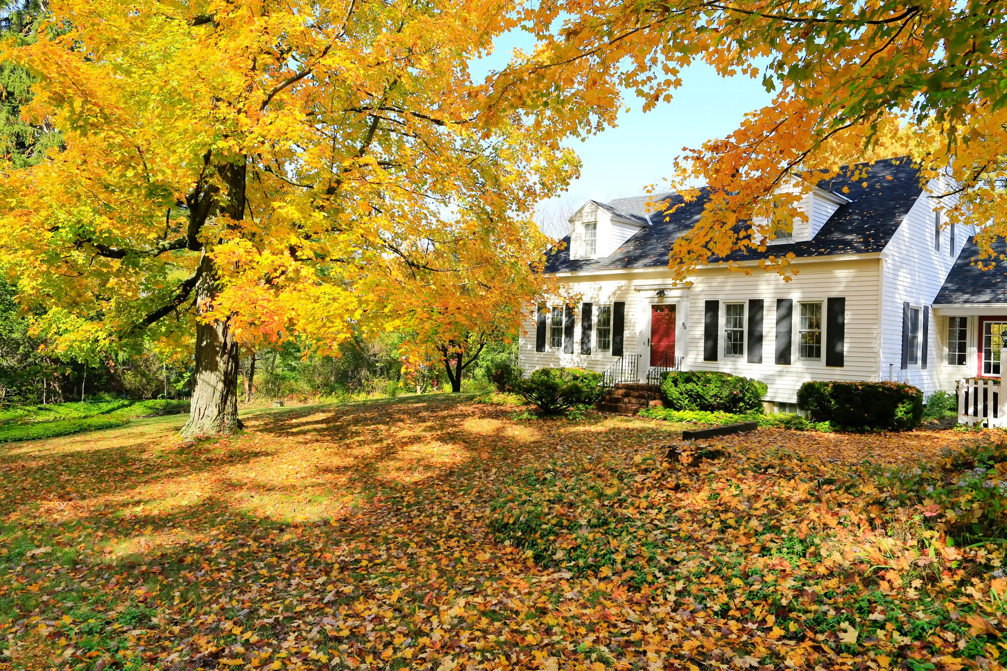 Roof Maintenance in the Fall Season