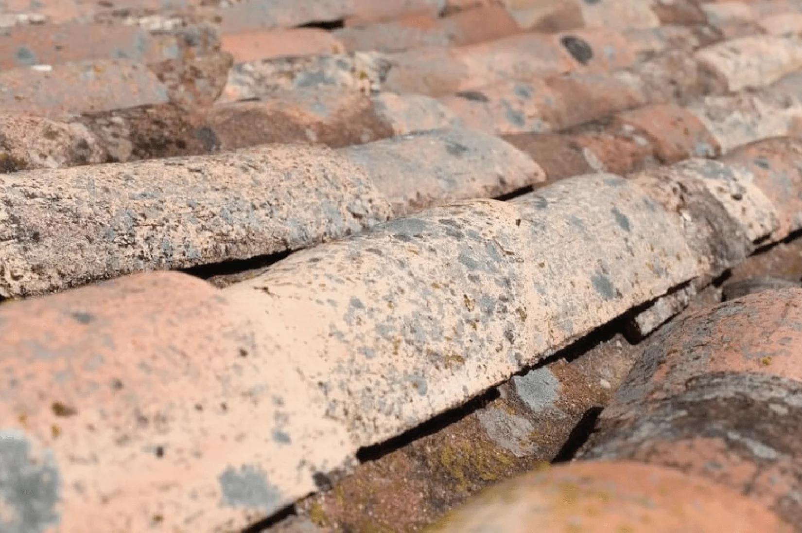 Common Roof Problems