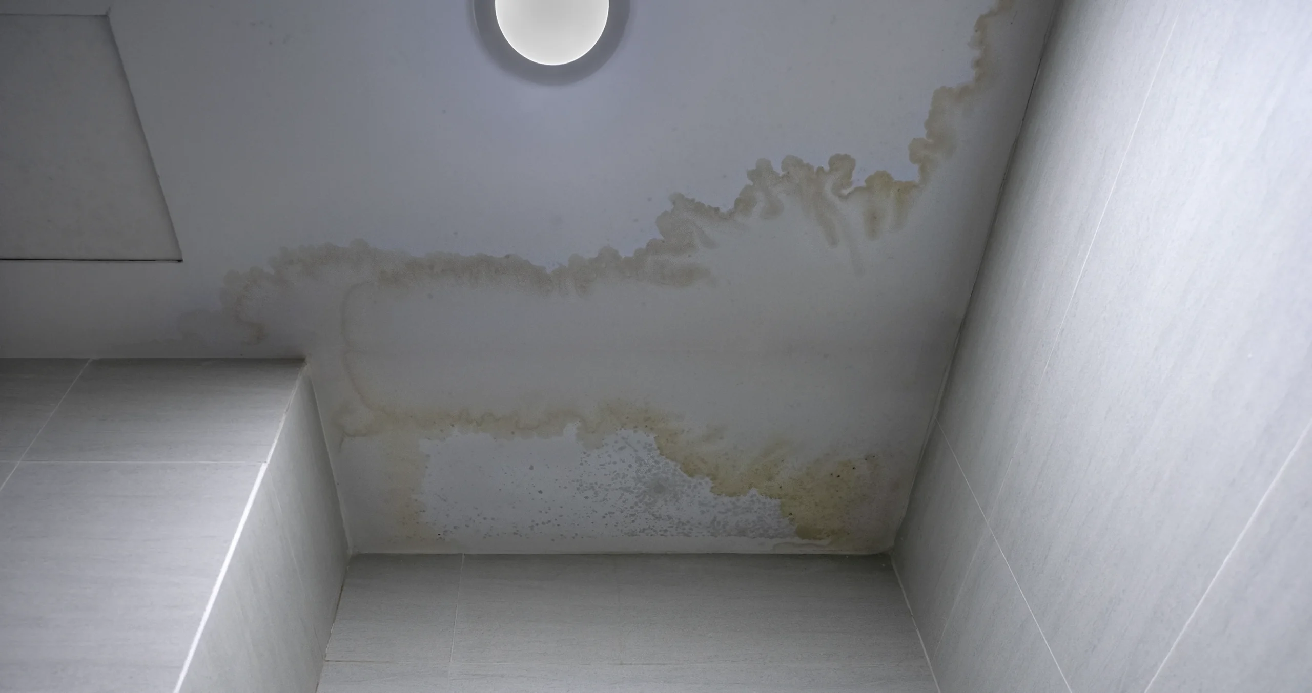 The Problems Caused By Leaking Commercial Roofs